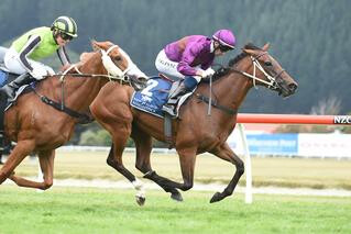 Secret Allure (NZ) outperforms rivals in G3 Desert Gold Stakes. Photo: Race Images Palmerston North
